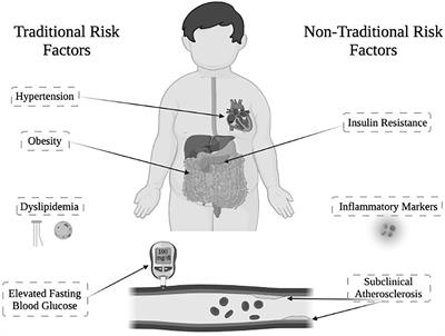 Components of Metabolic Syndrome in Youth With Classical Congenital Adrenal Hyperplasia